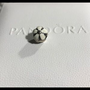 Pandora Charm
